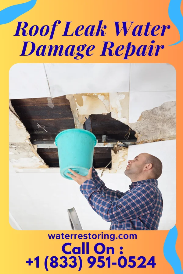Roof Leak Water Damage Repair in Woodfield, SC