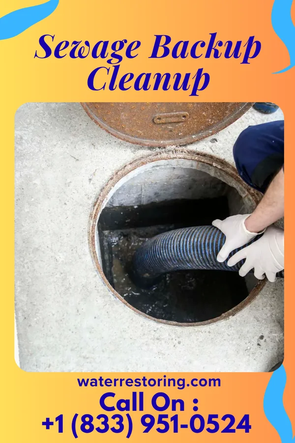Sewage Backup Cleanup in Woodfield, SC