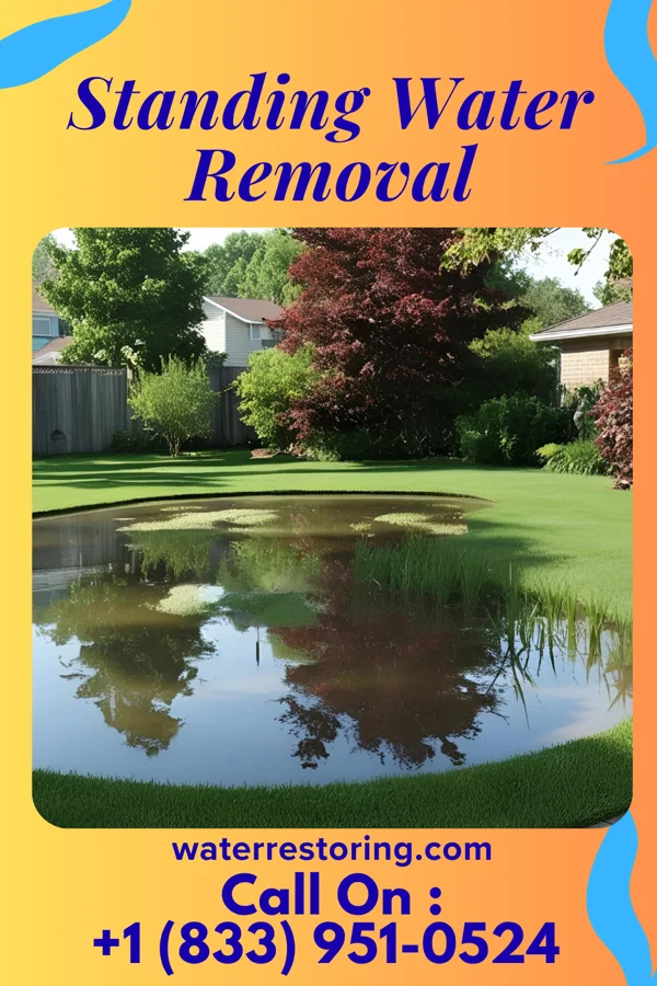 Standing Water Removal in Woodfield, SC